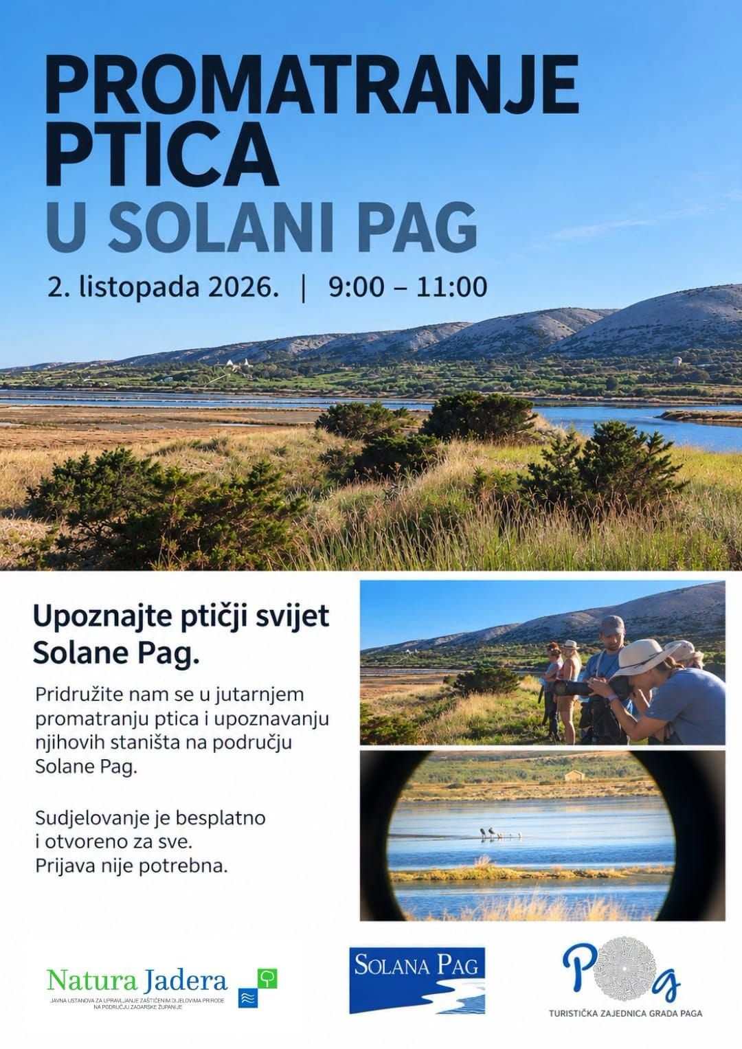 Promatranje ptica u Solani Pag