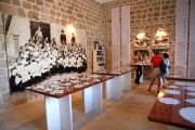 GALERIJA-CIPKE