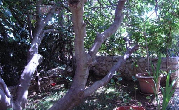 P1010132