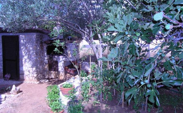 P1010171